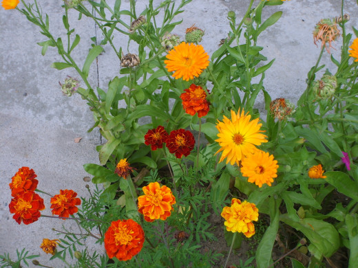 432843 (a): :1600x1200